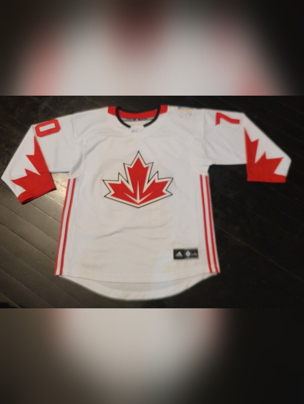 Braden Holtby Canada Hockey adidas Red World Cup of Hockey 2016 Jersey.